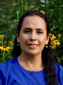 ana300